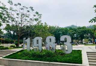 福建武夷岩茶团购