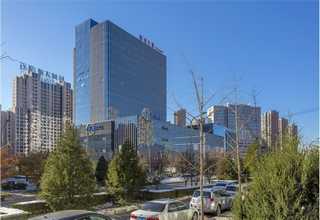 福建植物茎组织外泌体透射电镜检测