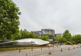 黎城黄精茶可以